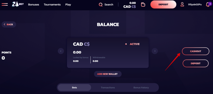 21Bit casino withdrawal times