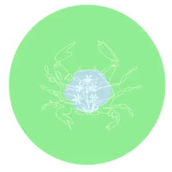 Light green is a lucky colour for Cancer