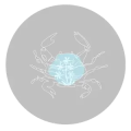 Thumbnail for version as of 09:49, 18 December 2025