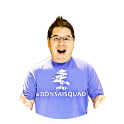 Bonsai Yama image